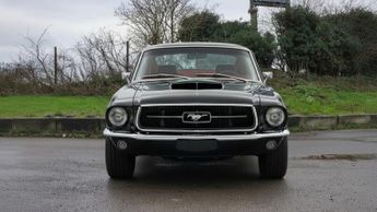 FORD MUSTANG 
