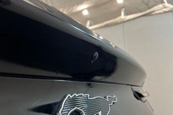 FORD MUSTANG MACH-E Extended Range 91kWh SUV 5dr Electric Automatic (294 ps) Rear Vi