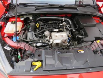 FORD FOCUS 1.0T EcoBoost ST-Line Hatchback 5dr Petrol Auto Euro 6 (s/s) (12