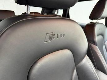 AUDI Q5 2.0 TDI S line Plus SUV 5dr Diesel S Tronic quattro Euro 6 (s/s)