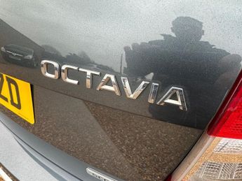 SKODA OCTAVIA 2.0 TDI Scout Estate 5dr Diesel DSG 4WD Euro 6 (s/s) (184 ps)
