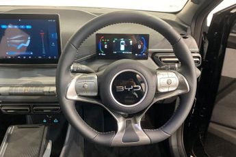 BYD Dolphin Surf 43.2kWh Boost Hatchback 5dr Electric Auto (87 ps) Rear View Came