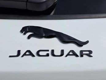 JAGUAR F-PACE 5.0 V8 SVR SUV 5dr Petrol Quickshift AWD Euro 6 (s/s) (550 ps)