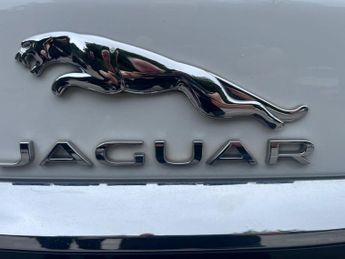 JAGUAR XF 2.2d Portfolio Saloon 4dr Diesel Auto Euro 5 (s/s) (200 ps)
