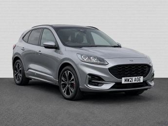 Ford Kuga 1.5 EcoBlue ST-Line X Edition SUV 5dr Diesel Manual Euro 6 (s/s)