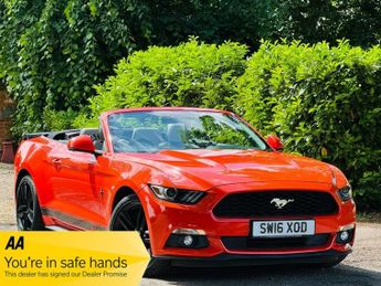 Ford Mustang 2.3T EcoBoost Convertible 2dr Petrol SelShift Euro 6 (317 ps)