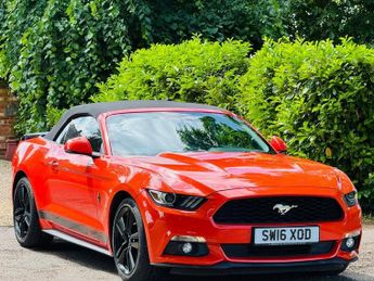 FORD MUSTANG 2.3T EcoBoost Convertible 2dr Petrol SelShift Euro 6 (317 ps)