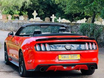 FORD MUSTANG 2.3T EcoBoost Convertible 2dr Petrol SelShift Euro 6 (317 ps)