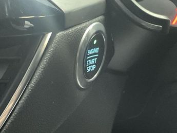 FORD KUGA 1.5 EcoBlue Titanium First Edition SUV 5dr Diesel Manual Euro 6 