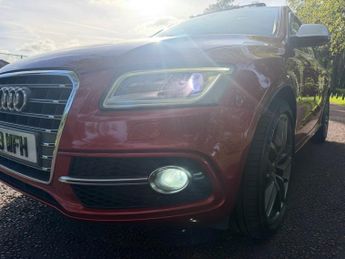AUDI SQ5 3.0 BiTDI V6 SUV 5dr Diesel Tiptronic quattro Euro 5 (s/s) (313 