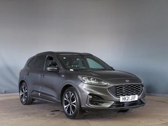 Ford Kuga 1.5 EcoBlue ST-Line X Edition SUV 5dr Diesel Manual Euro 6 (s/s)