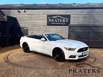 Ford Mustang 2.3T EcoBoost Convertible 2dr Petrol SelShift Euro 6 (317 ps)