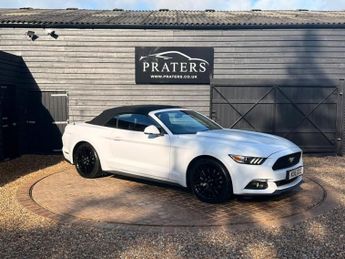 FORD MUSTANG 2.3T EcoBoost Convertible 2dr Petrol SelShift Euro 6 (317 ps)