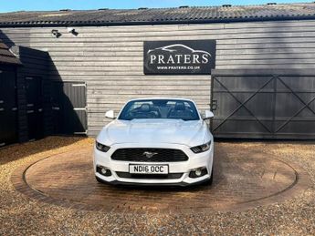 FORD MUSTANG 2.3T EcoBoost Convertible 2dr Petrol SelShift Euro 6 (317 ps)