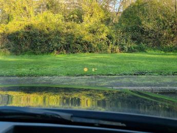 BMW 4 SERIES 3.0 M440i MHT Coupe 2dr Petrol Hybrid Auto xDrive Euro 6 (s/s) (