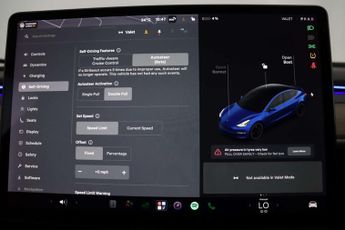 Tesla Model 3 (Dual Motor) Performance Saloon 4dr Electric Auto 4WDE (Performa