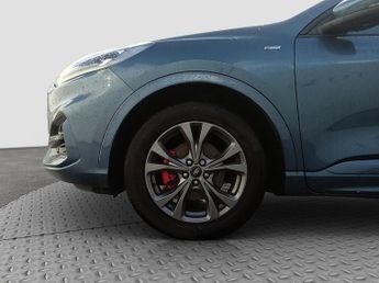 Ford Kuga EcoBlue ST-Line