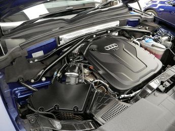 Audi Q5 TDI S line Plus