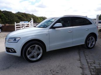 Audi Q5 TDI S line Plus