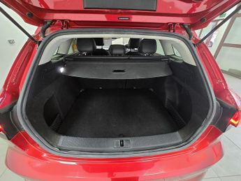 MG MG5 Trophy Long Range