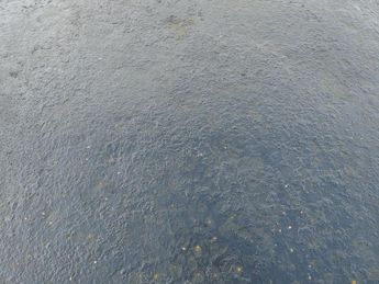 Mercedes-Benz Sprinter CDI 313