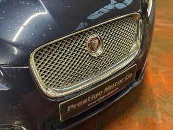 Jaguar XF d Luxury