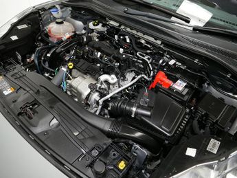 Ford Kuga EcoBlue ST-Line X Edition