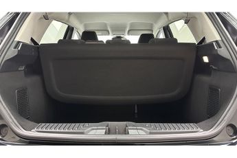 Ford Fiesta T EcoBoost MHEV Active Edition