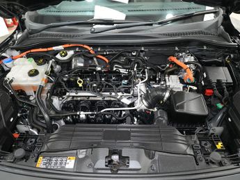 Ford Kuga h Duratec ST-Line X Edition