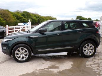 Land Rover Range Rover Evoque SD4 Pure