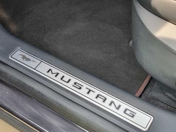 Ford Mustang Mach-E 258kW Extended Range 88kWh AWD 5dr Auto