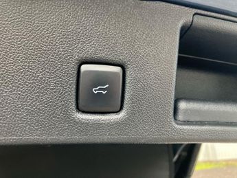 Ford Kuga 2.5 FHEV ST-Line X Edition 5dr CVT
