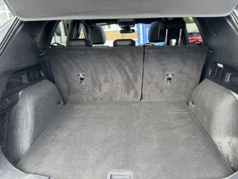 Ford Kuga 2.5 FHEV ST-Line X Edition 5dr CVT