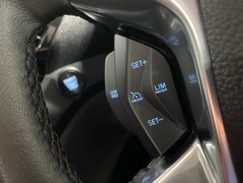 Ford Grand Tourneo Connect 1.5 EcoBlue (120PS) 6 spd Titanium 5dr. 7 seater.