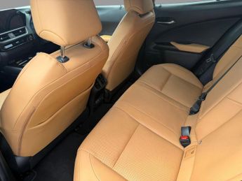 Lexus Ux 300E TAKUMI