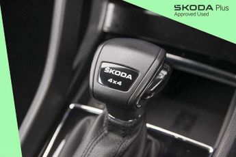 Skoda Kodiaq 2.0 TDI SE L Executive 4x4 5dr DSG [7 Seat]