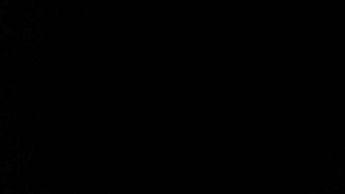 Volkswagen Tiguan 2.0 TDi 190 4Motion SEL 5dr DSG