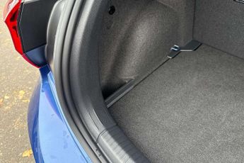 Volkswagen Polo GTI 2.0 TSI GTI 5dr DSG