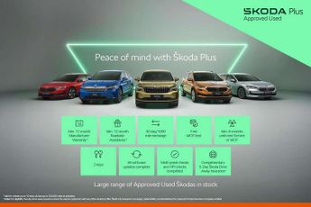 Skoda Kamiq 1.0 TSI 110 Monte Carlo 5dr DSG