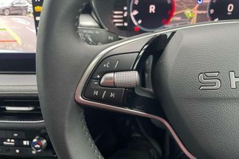 Skoda Fabia 1.0 TSI 116 SE L Edition 5dr DSG