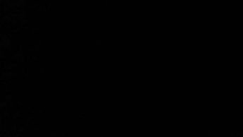 Audi Q5 Sportback 50 TFSI e Quattro S Line 5dr S Tronic