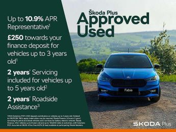 Skoda Kamiq 1.0 TSI Monte Carlo 5dr DSG