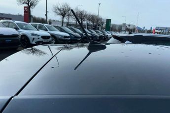 SEAT Ibiza 1.0 TSI 115 Anniversary Limited Edition 5dr DSG