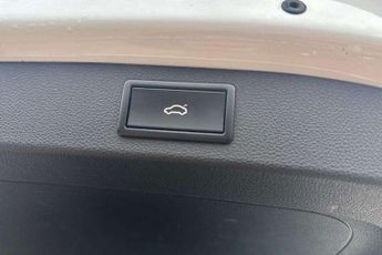 Skoda Kodiaq 2.0 TDI Sport Line 4x4 5dr DSG [7 Seat]