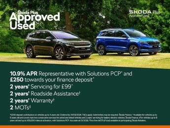 Skoda Kamiq 1.0 TSI SE L Edition 5dr DSG