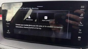 Skoda Fabia 1.0 TSI 116 Monte Carlo Edition 5dr DSG