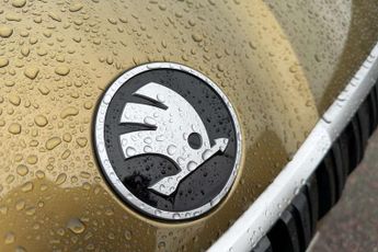 Skoda Kodiaq 1.5 TSI e-TEC SE L 5dr DSG [7 Seat]