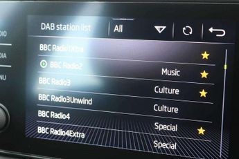 Skoda Kamiq 1.0 TSI 110 SE 5dr DSG