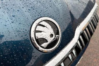 Skoda Kodiaq 1.5 TSI SE L Executive 5dr DSG [7 Seat]