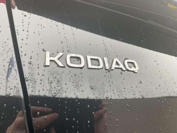 Skoda Kodiaq 2.0 TDI SE 5dr DSG [7 Seat]